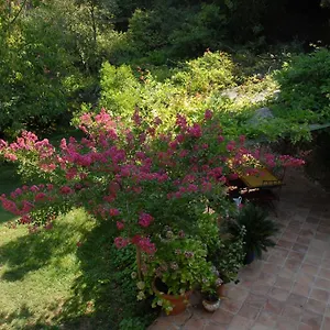 D'hotes Il Monticello Bed & Breakfast